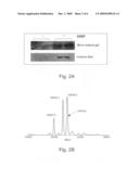 Site-specific incorporation of redox active amino acids into proteins diagram and image