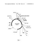 HALOHYDRIN DEHALOGENASES AND RELATED POLYNUCLEOTIDES diagram and image