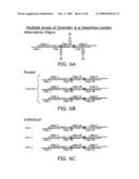 LADDER ASSEMBLY AND SYSTEM FOR GENERATING DIVERSITY diagram and image