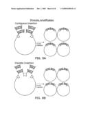 LADDER ASSEMBLY AND SYSTEM FOR GENERATING DIVERSITY diagram and image