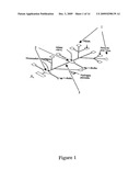 Method for Polymer Synthesis Using Microfluidic Enzymatic Cascade diagram and image