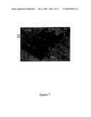 Method for Polymer Synthesis Using Microfluidic Enzymatic Cascade diagram and image