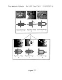 Method for Polymer Synthesis Using Microfluidic Enzymatic Cascade diagram and image