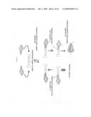 siRNA targeting KRAS diagram and image