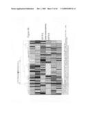 siRNA targeting KRAS diagram and image