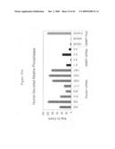 siRNA targeting KRAS diagram and image