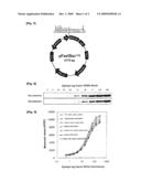 QUANTITATIVE MEASUREMENT METHOD FOR RECOMBINANT PROTEIN diagram and image