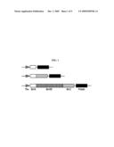 METHOD FOR CELL SURFACE DISPLAYING OF TARGET PROTEINS USING BACILLUS ANTHRACIS EXOSPORIUM diagram and image