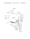 METHOD FOR CELL SURFACE DISPLAYING OF TARGET PROTEINS USING BACILLUS ANTHRACIS EXOSPORIUM diagram and image