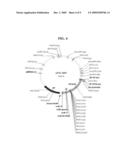 METHOD FOR CELL SURFACE DISPLAYING OF TARGET PROTEINS USING BACILLUS ANTHRACIS EXOSPORIUM diagram and image