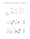 Assays for determining telomere length and repeated sequence copy number diagram and image