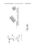 Assays for determining telomere length and repeated sequence copy number diagram and image