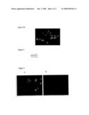 NOVEL NUCLEOTIDE SEQUENCES diagram and image