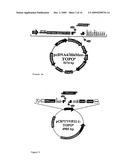 Hai-1 and hai-2 in cancer therapy diagram and image