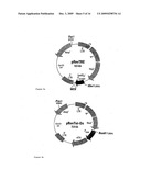 Hai-1 and hai-2 in cancer therapy diagram and image