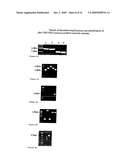 Hai-1 and hai-2 in cancer therapy diagram and image