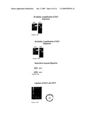 Hai-1 and hai-2 in cancer therapy diagram and image