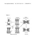 Bifunctional Molecules for Inhibiting HIV Entry diagram and image
