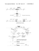 Novel Compounds and Methods for Their Production diagram and image