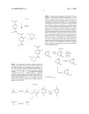 NOVEL SCAFFOLDS FOR ALPHA-HELIX MIMICRY diagram and image