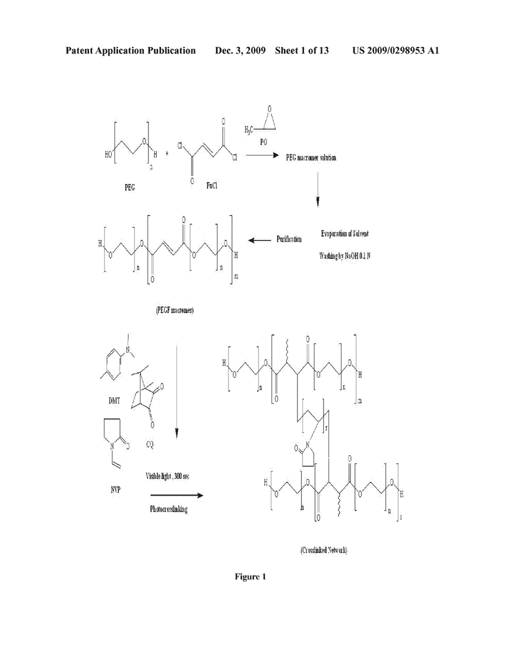 Drug delivery system and method of making the same - diagram, schematic, and image 02