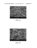 AMPHIPHILIC COPOLYMER AND METHOD FOR FABRICATING THE SAME diagram and image