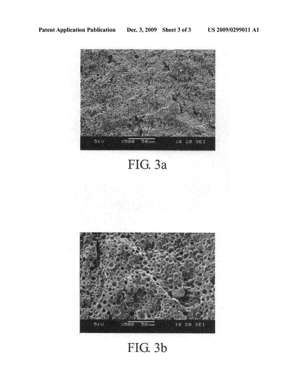 AMPHIPHILIC COPOLYMER AND METHOD FOR FABRICATING THE SAME - diagram, schematic, and image 04