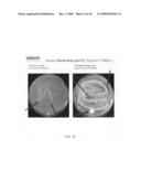 Near-Infrared electromagnetic modification of cellular steady-state membrane potentials diagram and image