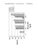 EPOXIDE-BASED TANNAGE SYSTEM diagram and image