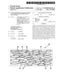 Filter for Removing Particles from a Gas Stream and Method for its Manufacture diagram and image