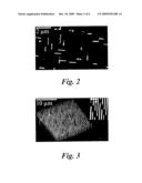 Method for Metal-Free Synthesis of Epitaxial Semiconductor Nanowires on Si diagram and image