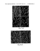 Method for Metal-Free Synthesis of Epitaxial Semiconductor Nanowires on Si diagram and image