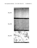 IONIC POLYMER DEVICES AND METHODS OF FABRICATING THE SAME diagram and image