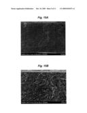 IONIC POLYMER DEVICES AND METHODS OF FABRICATING THE SAME diagram and image