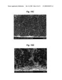 IONIC POLYMER DEVICES AND METHODS OF FABRICATING THE SAME diagram and image