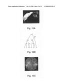 Surface parameterization method diagram and image