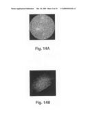 Surface parameterization method diagram and image