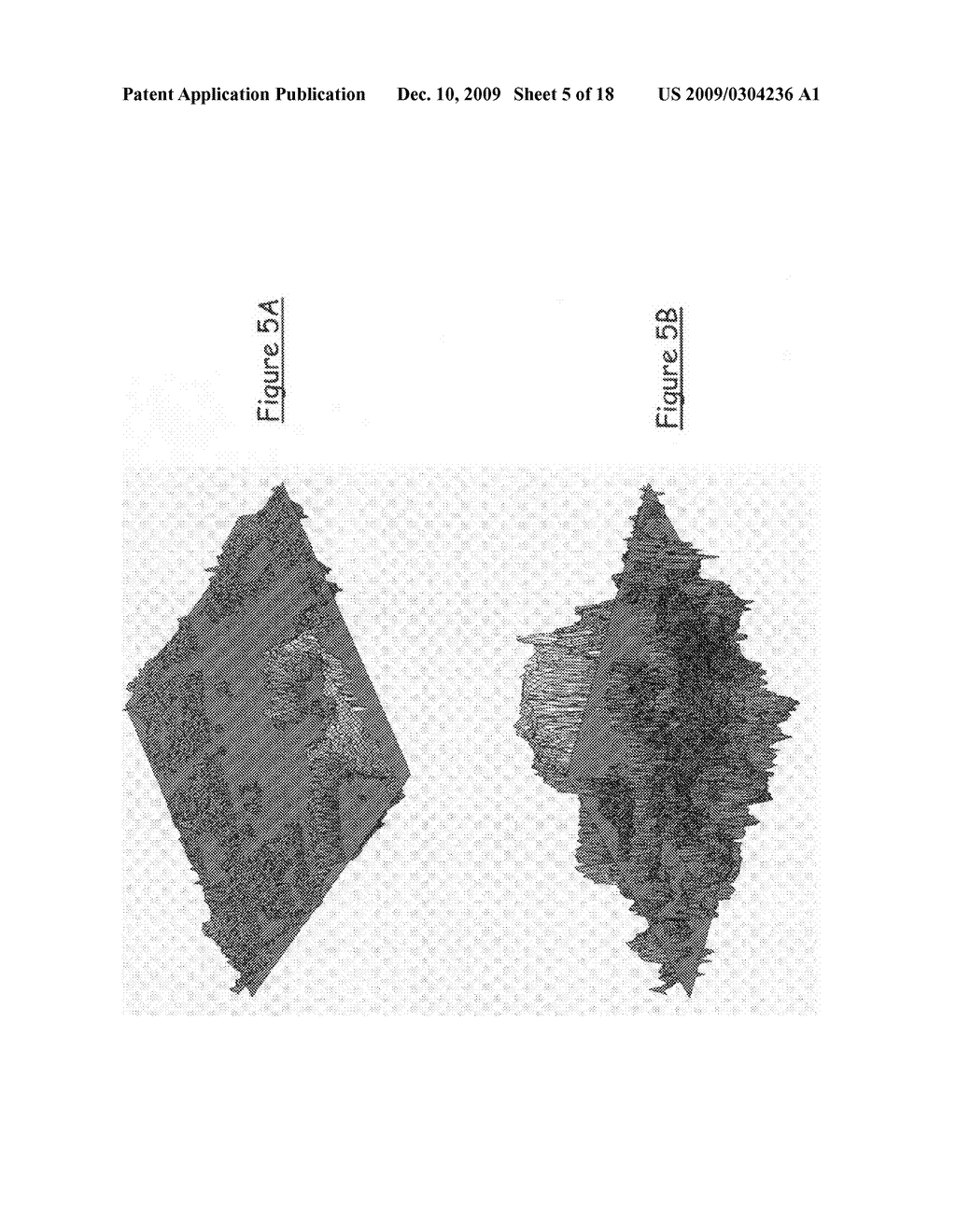 Method of deriving digital terrain models from digital surface models - diagram, schematic, and image 06