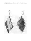 Method of deriving digital terrain models from digital surface models diagram and image