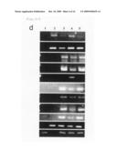 Method for preparing an organ for transplantation diagram and image