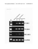 Method for preparing an organ for transplantation diagram and image