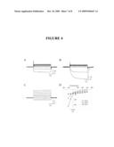 Production of Neural Stem Cells from Bone Marrow Tissue and Use Thereof diagram and image