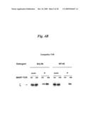 CHIMERIC T CELL RECEPTORS AND RELATED MATERIALS AND METHODS OF USE diagram and image