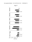 CHIMERIC T CELL RECEPTORS AND RELATED MATERIALS AND METHODS OF USE diagram and image