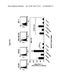 Antibodies as T cell receptor mimics, methods of production and uses thereof diagram and image
