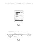 Soluble Fragments of The Sars-Cov Spike Glycoprotein diagram and image