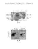 Soluble Fragments of The Sars-Cov Spike Glycoprotein diagram and image