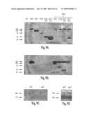 Soluble Fragments of The Sars-Cov Spike Glycoprotein diagram and image