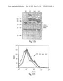 Soluble Fragments of The Sars-Cov Spike Glycoprotein diagram and image