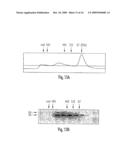 Soluble Fragments of The Sars-Cov Spike Glycoprotein diagram and image